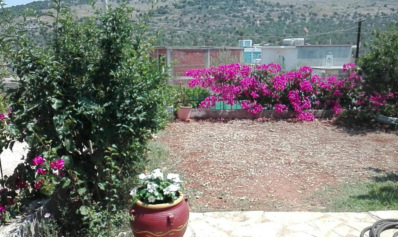 Baci Apartments Εξαμίλιο Εξωτερικό φωτογραφία