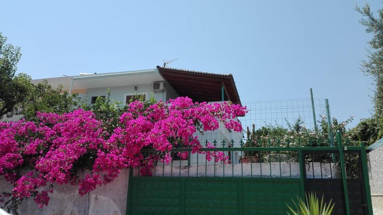 Baci Apartments Εξαμίλιο Εξωτερικό φωτογραφία